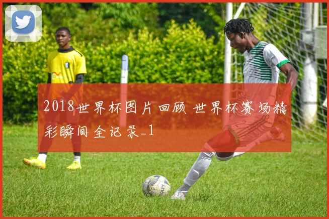 2018世界杯图片回顾 世界杯赛场精彩瞬间全记录_1
