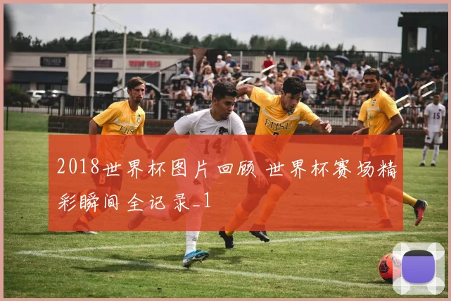 2018世界杯图片回顾 世界杯赛场精彩瞬间全记录_1
