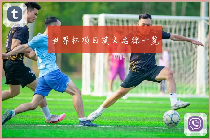 世界杯项目英文名称一览