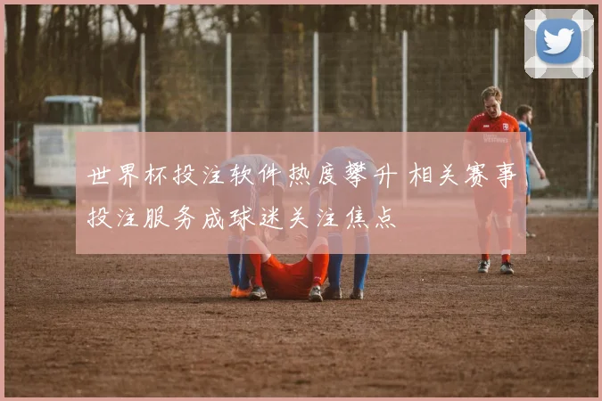 世界杯投注软件热度攀升 相关赛事投注服务成球迷关注焦点