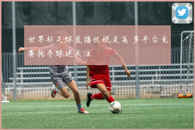 世界杯足球直播收视走高 多平台竞赛抢夺球迷关注